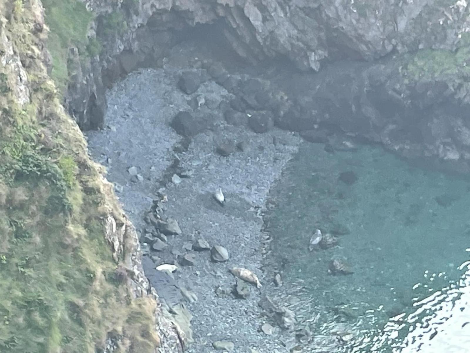 Trefechan Wen Barn Llanwnda  Exteriér fotografie